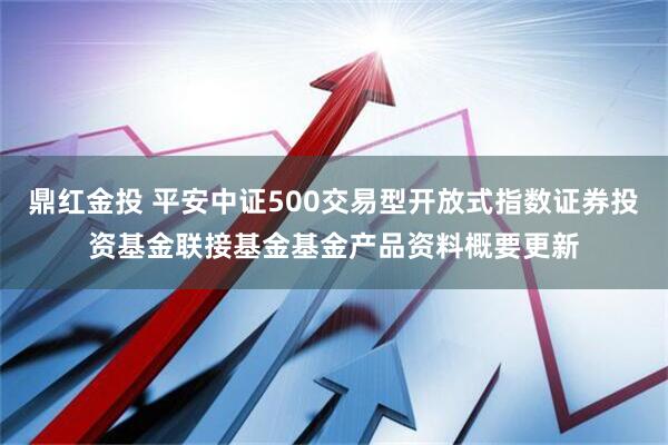 鼎红金投 平安中证500交易型开放式指数证券投资基金联接基金基金产品资料概要更新