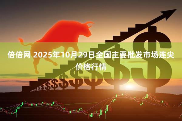 倍倍网 2025年10月29日全国主要批发市场连尖价格行情