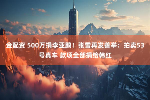金配资 500万捐李亚鹏！张雪再发善举：拍卖53号真车 款项全部捐给韩红