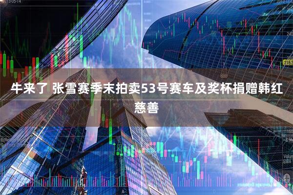 牛来了 张雪赛季末拍卖53号赛车及奖杯捐赠韩红慈善